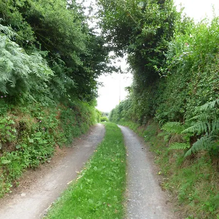 Hickory * Silecroft